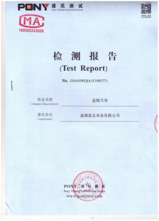 检测报告